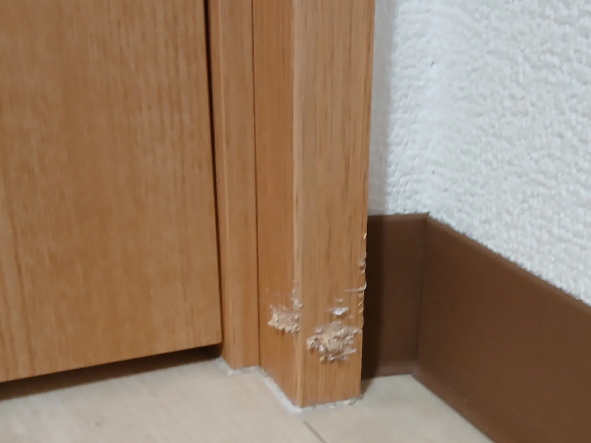 ドア枠　かじり跡の修復