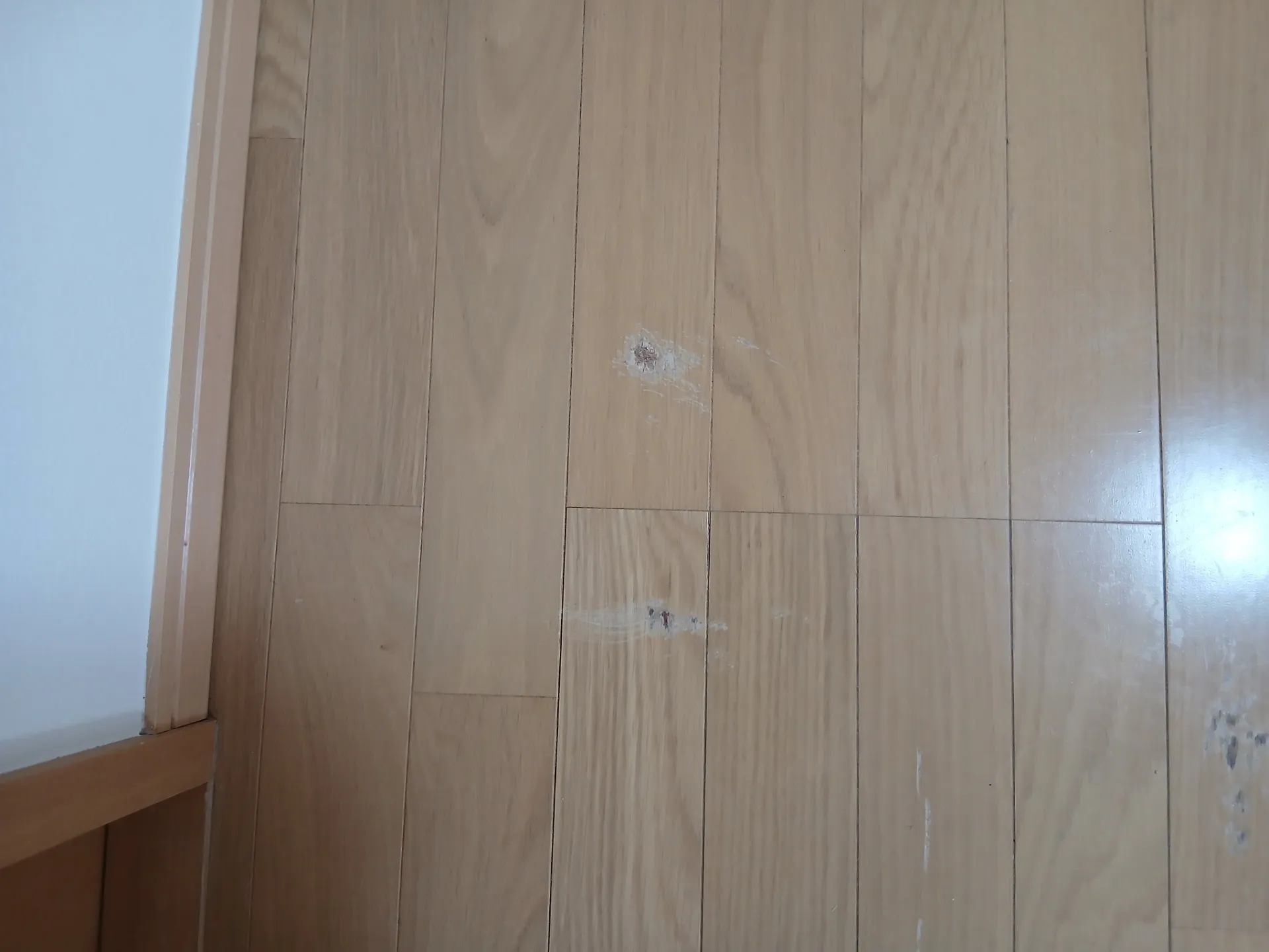 フローリング　ペットのひっかき痕補修
