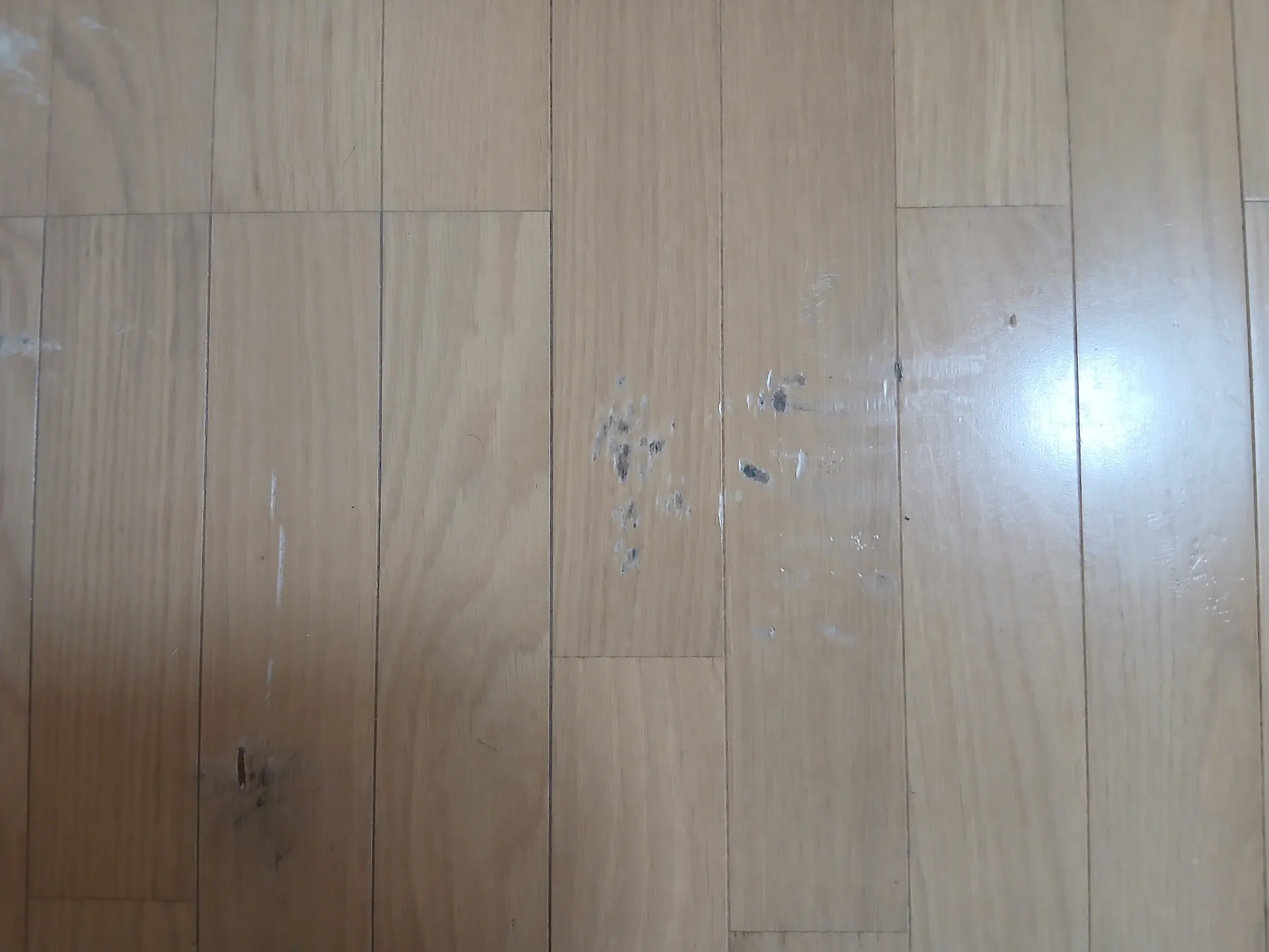 フローリング　ペットのひっかき痕補修