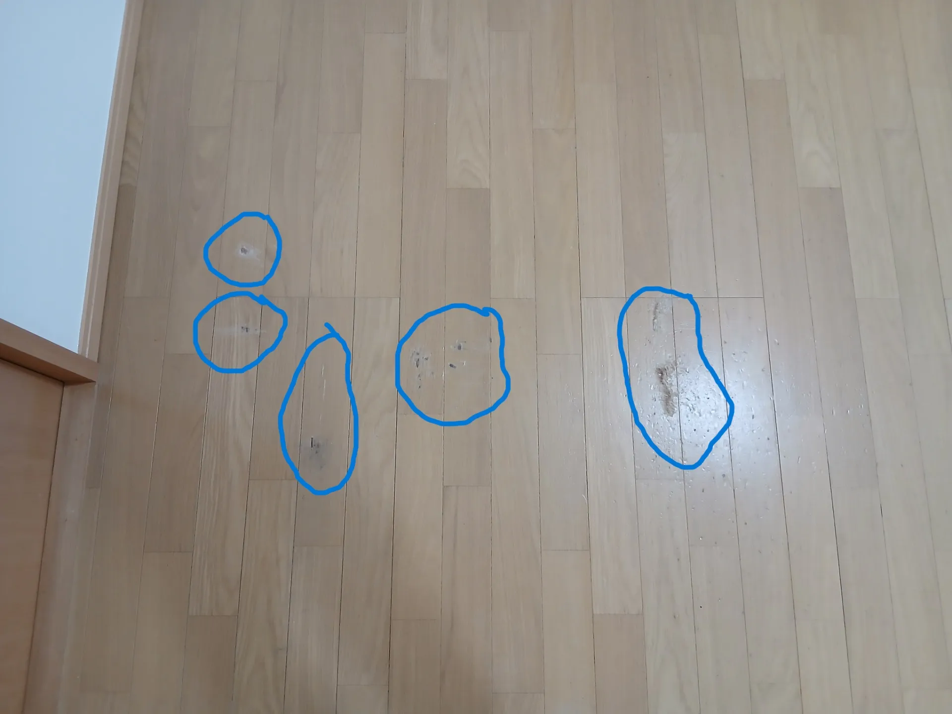 フローリング　ペットのひっかき痕補修