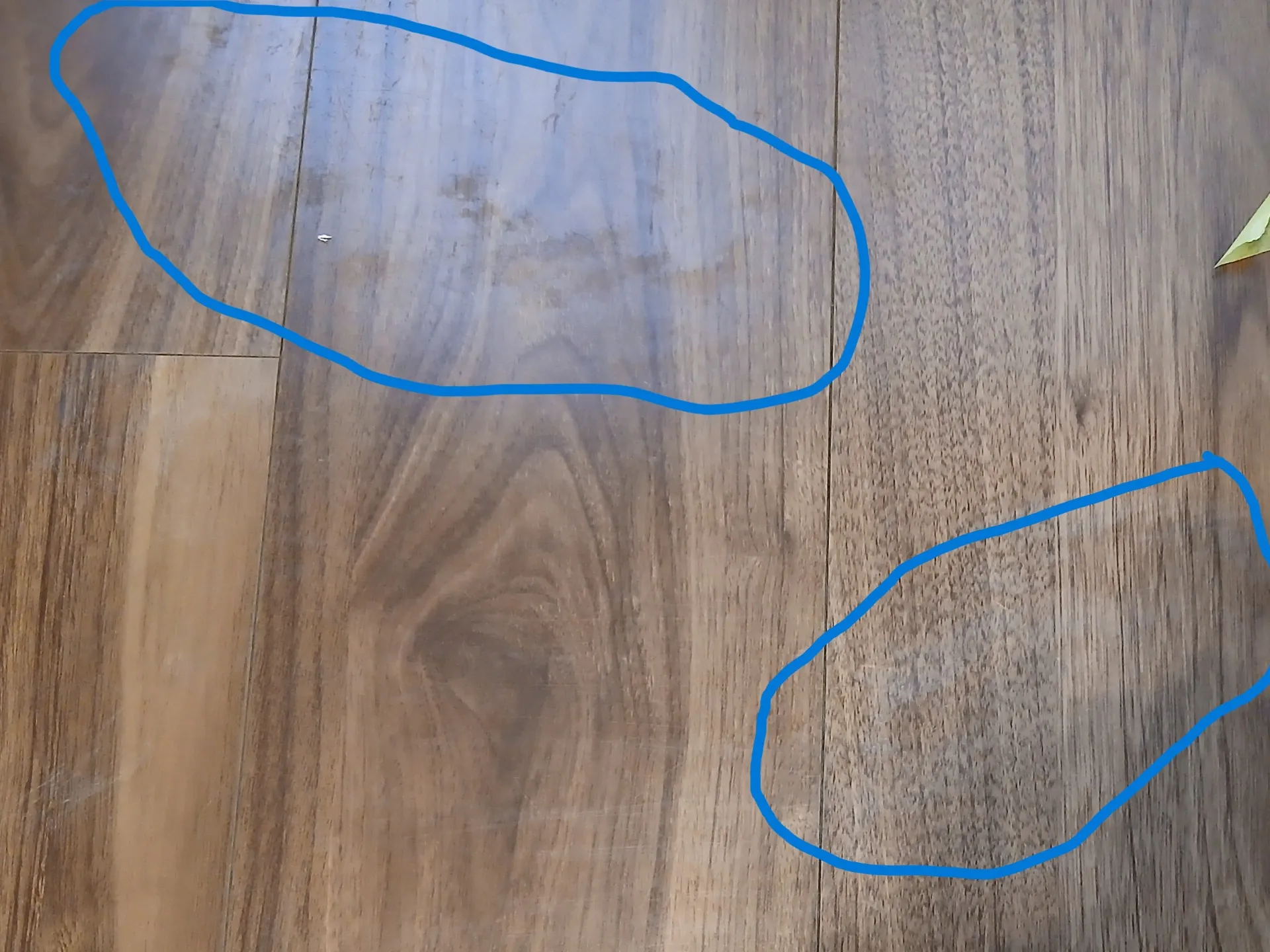 フローリング補修(広範囲凸凹)