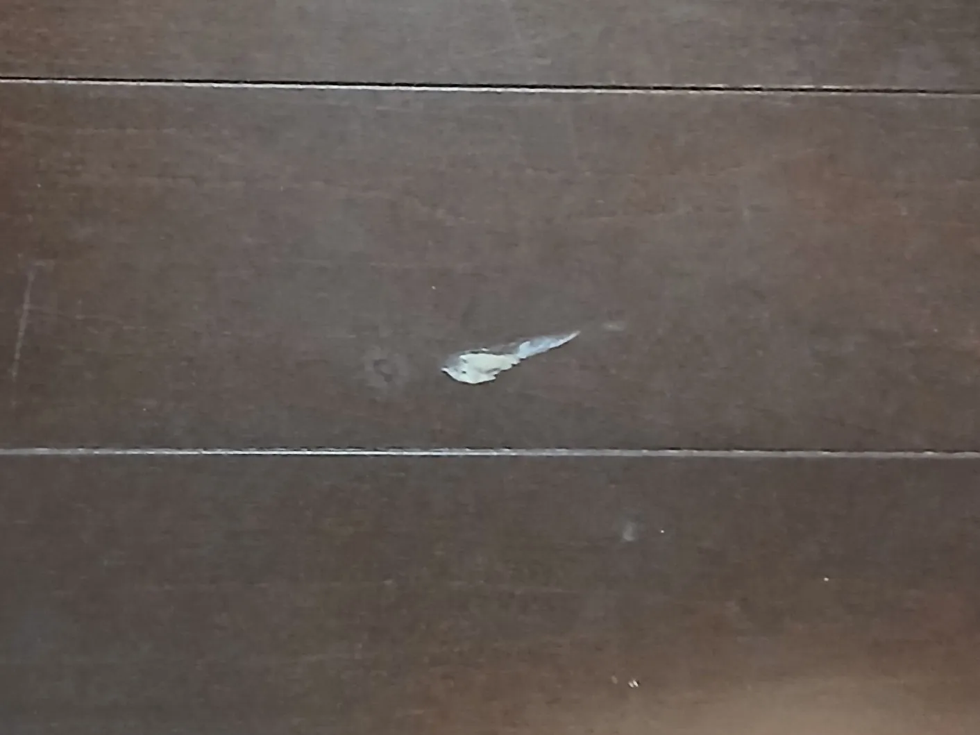 フローリング補修(表面めくれ)