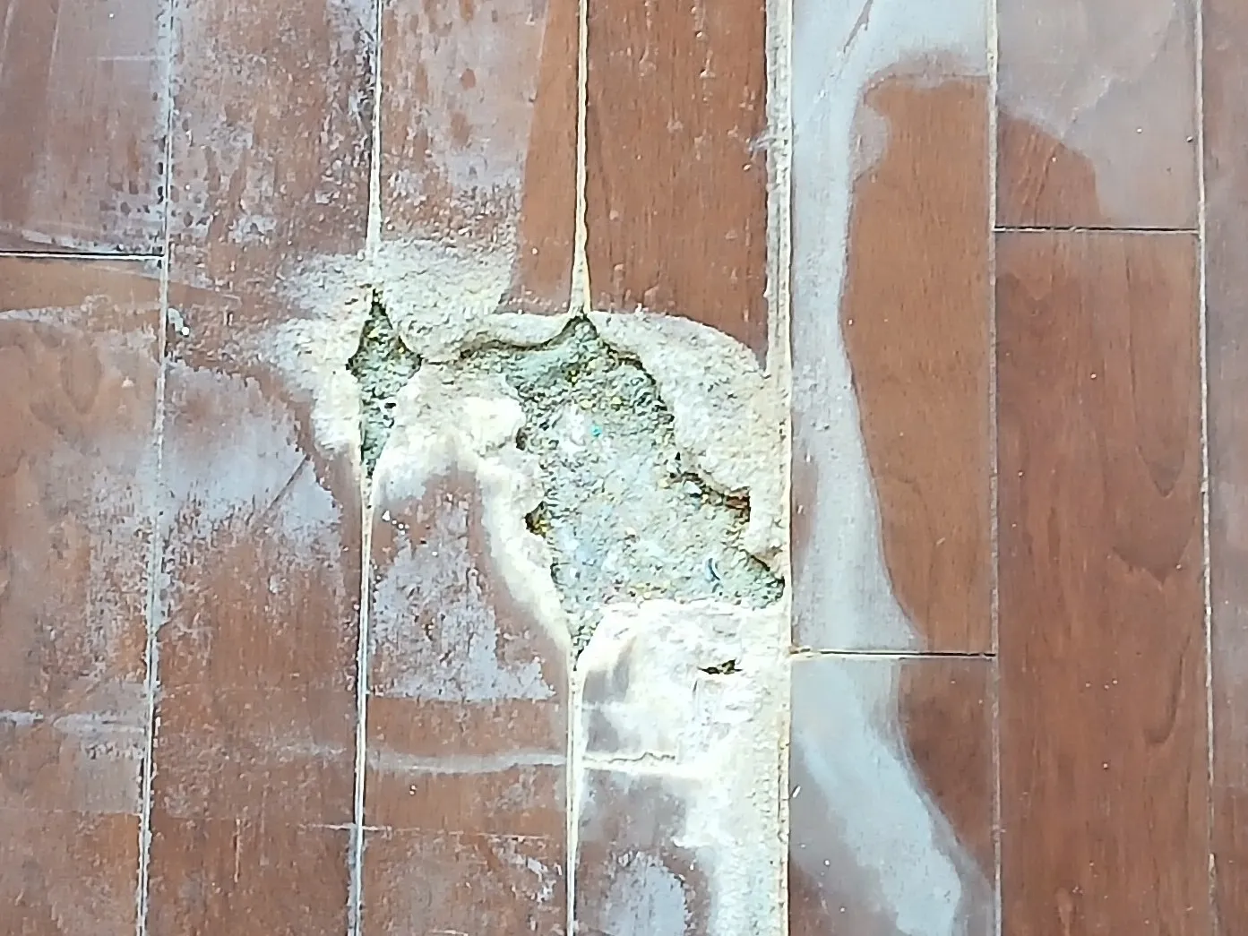 フローリング補修(穴埋め)