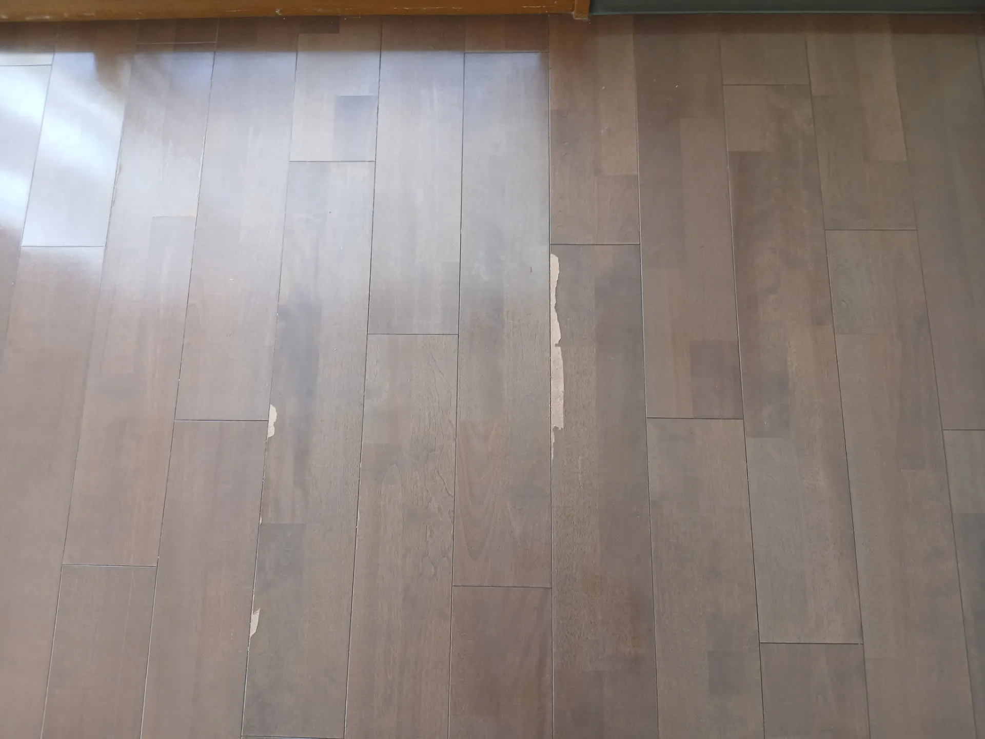 フローリング表面めくれの補修