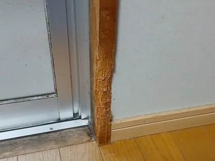 犬による柱の噛み跡補修