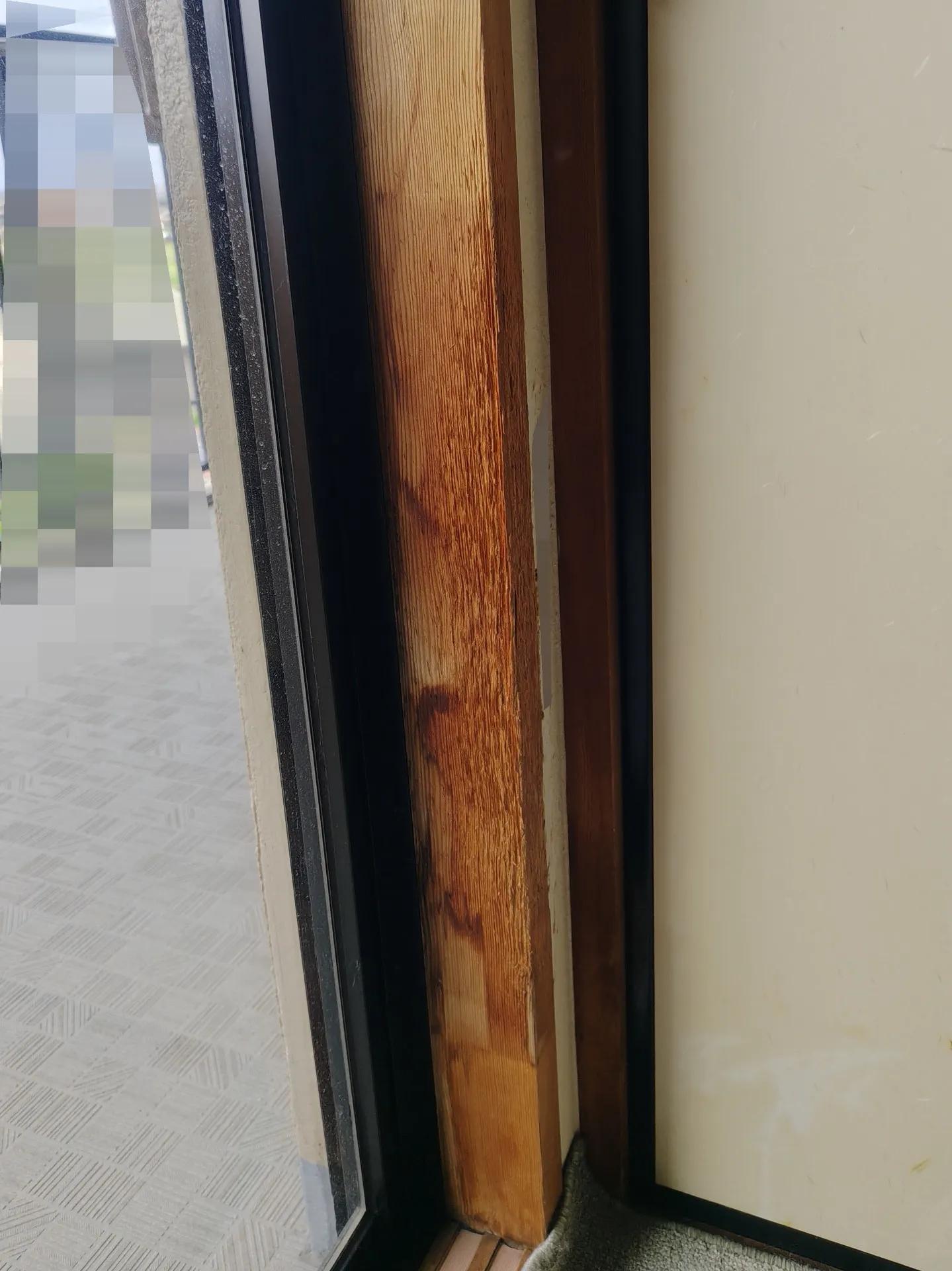 猫爪とぎ跡の修復