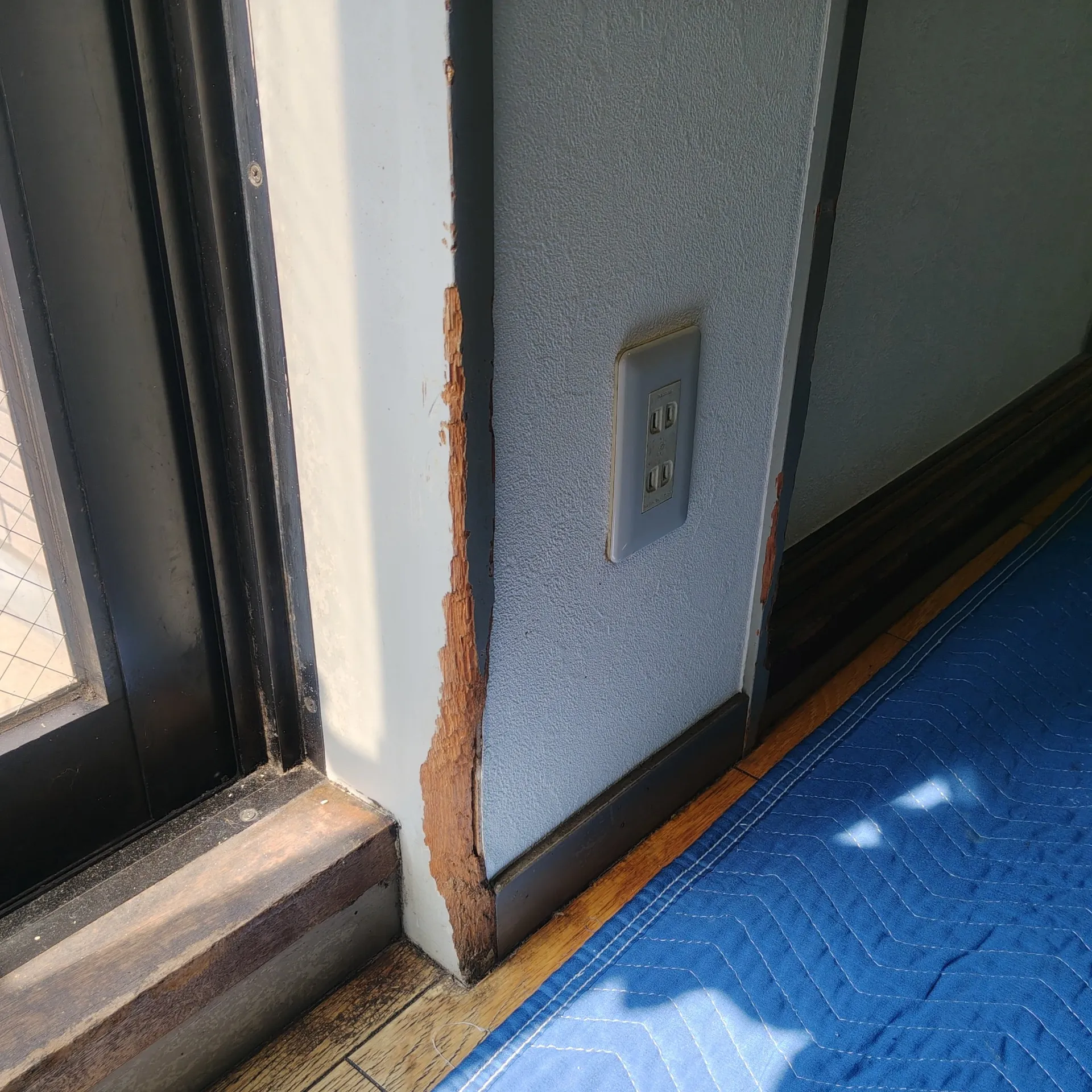 柱かじり痕の修復